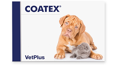 COATEX