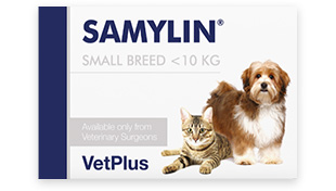 SAMYLIN  サミリン　41包　犬猫用栄養補助食